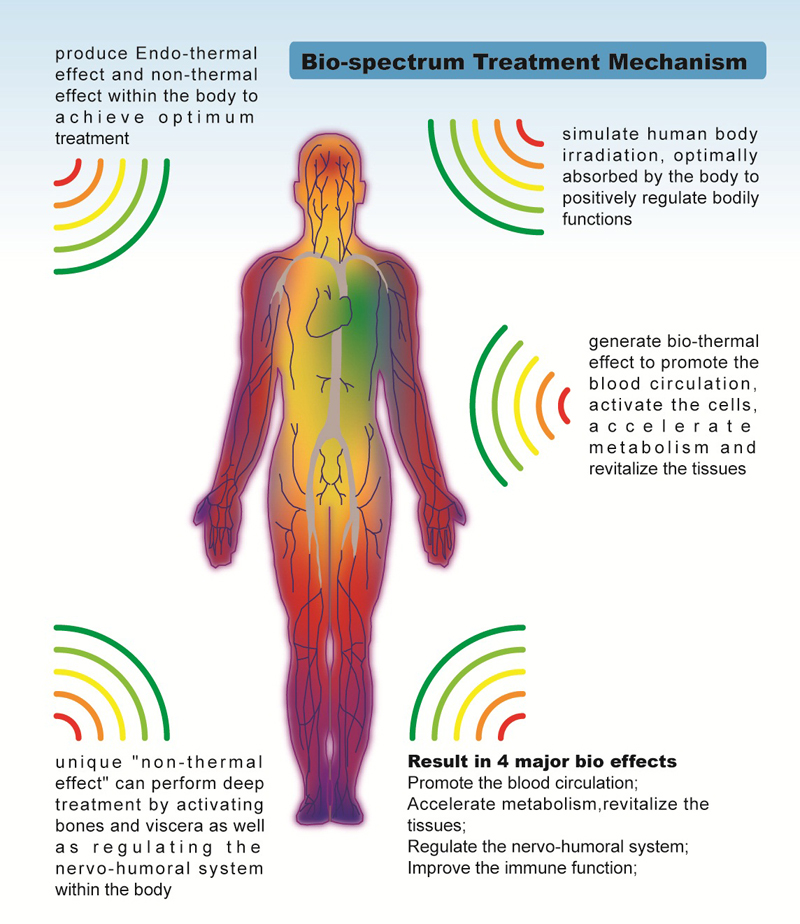 WS101 Biospectrum Treatment Device