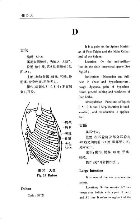 汉英双解针灸辞典