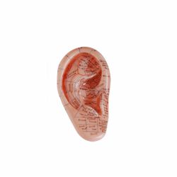 12cm massage ear