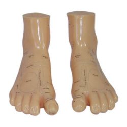 17cm massage foot