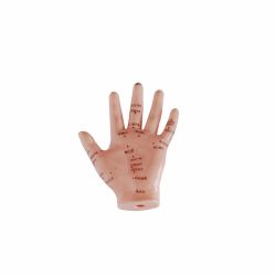 13cm Hand Acupuncture Model