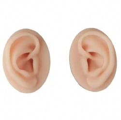 Medical silicone ear model